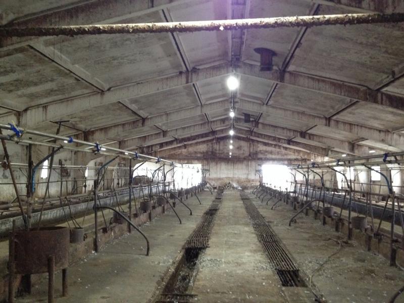 ОАО "Племзавод Чикский", Новосибирская область, Коченевский р-н, с. Прокудское