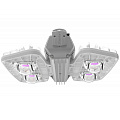 Pandora LED 605 Pandora LED 605