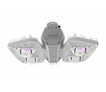 Pandora LED 605 PN-240  605PN-240  PHYTO