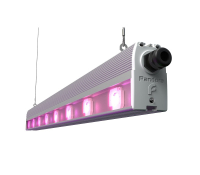 Pandora LED 625 615Е-100